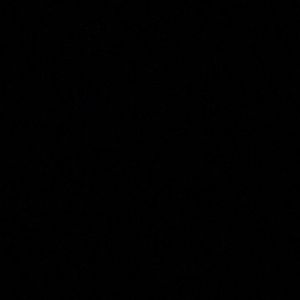 Meet your Posher, Billy